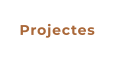 Projectes