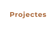 Projectes